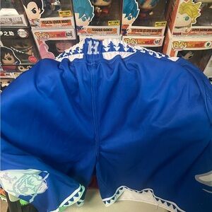 19Nine Hampton Pirates Shorts Large